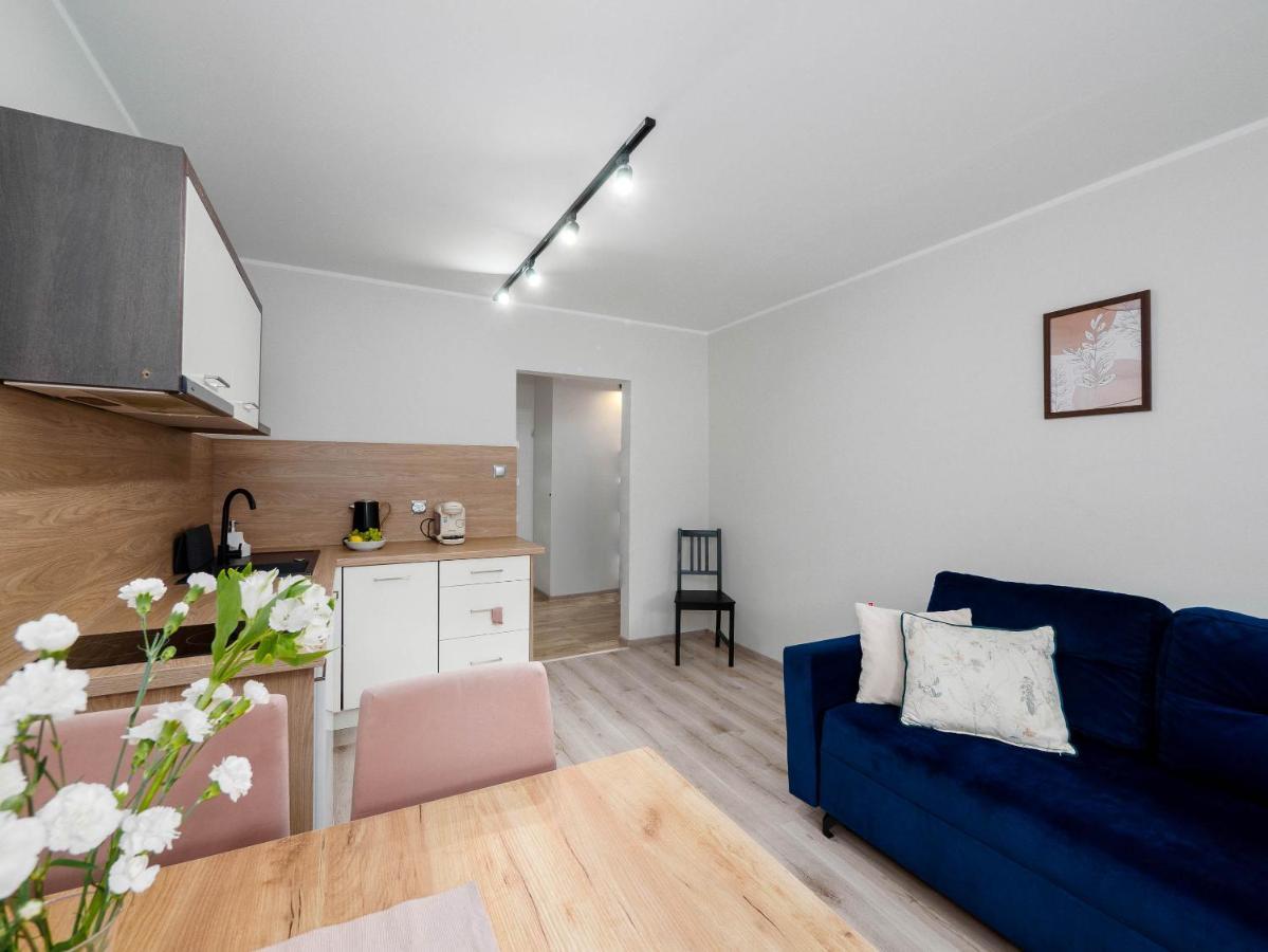 Best Choice 2-Bedroom Apartment Płock Buitenkant foto
